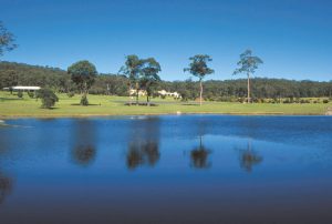 lake view