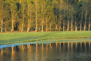 memorial parks 1 1