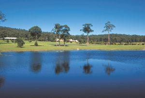 memorial parks 1 2