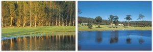 memorial parks 1
