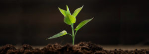 marketing your strategic plan is important